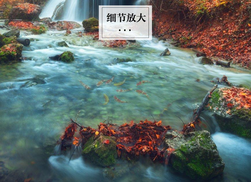 动词游戏